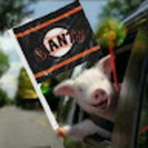 Meet your Posher, D.